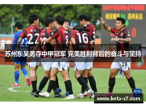 苏州东吴勇夺中甲冠军 完美胜利背后的奋斗与坚持