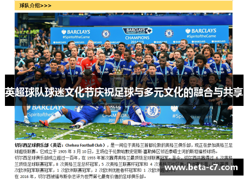 英超球队球迷文化节庆祝足球与多元文化的融合与共享
