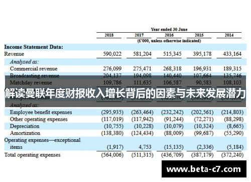 解读曼联年度财报收入增长背后的因素与未来发展潜力