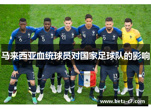 马来西亚血统球员对国家足球队的影响