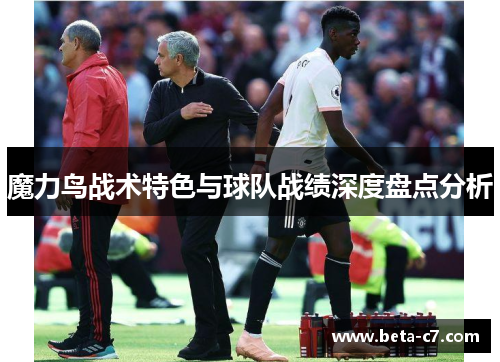 魔力鸟战术特色与球队战绩深度盘点分析