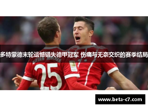 多特蒙德末轮遗憾错失德甲冠军 伤痛与无奈交织的赛季结局